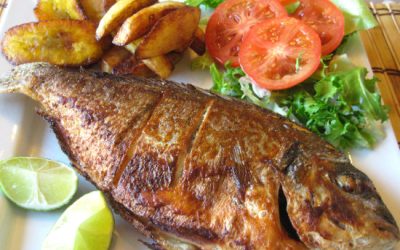 Mojarra-Tilapia Frita